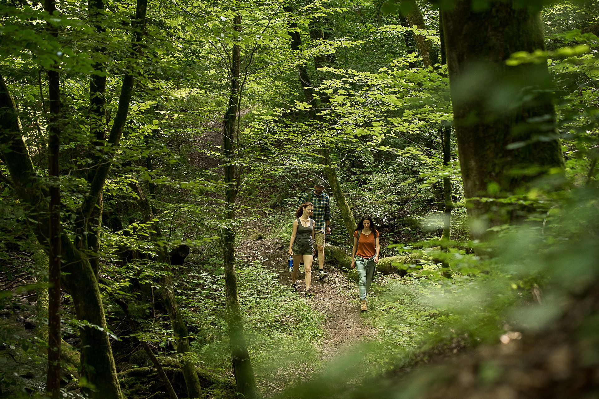 Wandern im Spessart